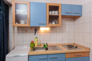 Kuchyň nebo kuchyňský kout v ubytování Apartments Marija 1921
