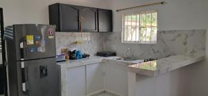 Kuchyň nebo kuchyňský kout v ubytování Piantini Houses