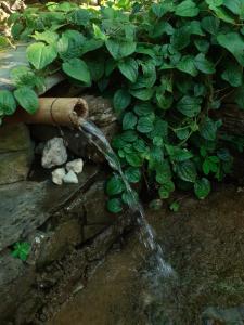 Giardino di Land of Dreams Villa
