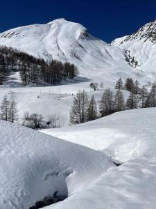 イフレンにあるN36 Residence vitel pour familleの雪山