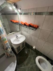 Koupelna v ubytování Bichlhaus Appartements