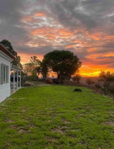 a field with a sunset in the background at Vale das Estrelas in São Teotónio +252 photos