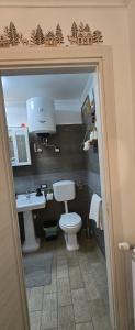 a bathroom with a toilet and a sink at Casa Al Colle in Pescocostanzo