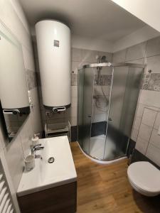 a bathroom with a shower and a sink and a toilet at Sklep Vendelín in Mikulčice +19 photos