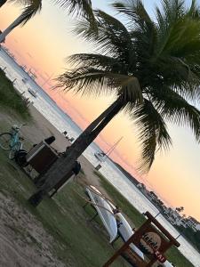 a palm tree on the beach with a tv at Quarto Suíte em Vitória perto da praia com garagem in Vitória