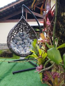 Um jardim em Hotel Rio Penedo