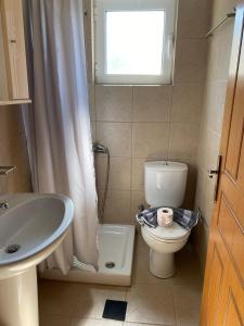 a bathroom with a toilet and a sink and a window at Jie's House in Countryside in Plaka