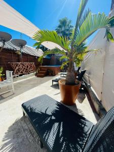 Fotografie z fotogalerie ubytování MAYAB Holbox v destinaci Ostrov Holbox