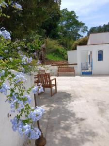 Chalézinho Santorini & Eventos外面的花园
