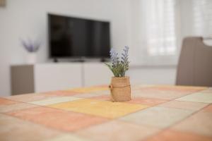 Televízia a/alebo spoločenská miestnosť v ubytovaní Apartments Mar