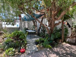 a hammock hanging from a tree in a garden at Hotel Villa Esmeralda in Tuxtla Gutiérrez