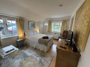 a bedroom with a bed and a television in it at The Guesthouse Hideaway by Newfo.rest in Hordle