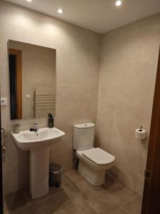 a bathroom with a toilet and a sink and a mirror at Apart. Casa Juaneta Pirineo-Ordesa in Broto