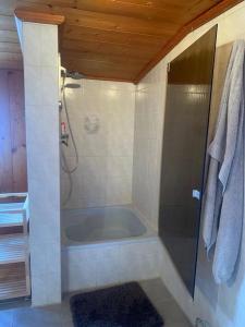 普夫龙滕Ferienwohnung Zugspitzblick - Haus Alpentenne, Pfronten的带淋浴和浴缸的浴室
