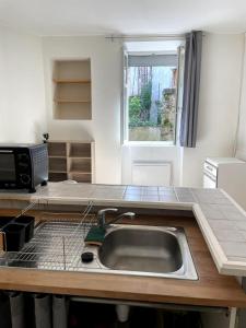 サン・ジュニアンにあるStudio meublé centre-ville Saint Junienのシンクと電子レンジ付きのキッチン