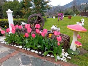 Zahrada ubytování B&B Vignola