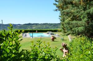 a statue of a dog in a yard with a pool at Agriturismo Sant'Angelo in Acquapendente