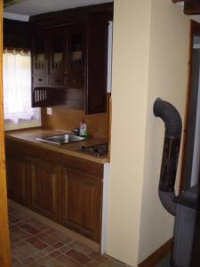 a kitchen with wooden cabinets and a sink at Apartments Iža Na Trem in Čigoč