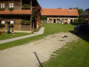 Φωτογραφία από το άλμπουμ του Apartments Iža Na Trem σε Čigoč +21 φωτογραφίες