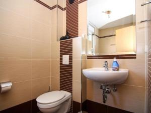 a small bathroom with a toilet and a sink at Doppelhaushälfte, Zingst in Zingst