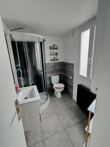 a bathroom with a shower and a toilet and a sink at Sleep'in Orléans centre-studio confortable et cosy in Orléans