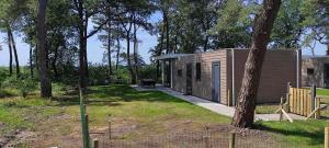 a small cabin in the woods with a tree at casa kwispel genieten met uw hond in de natuur in Haarle
