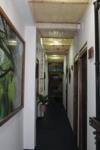 Fotografie z fotogalerie ubytování Hotel Gavas Amazonas v destinaci Leticia