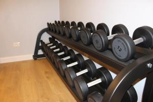 Fitness centrum a/nebo fitness zařízení v ubytování Vittoria Parc Hotel