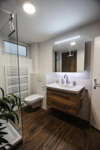 a bathroom with a sink and a toilet and a mirror at Ferienwohnung Rose in Walkenried