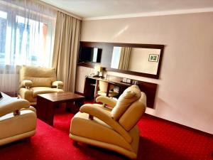 TV a/nebo společenská místnost v ubytování Hotel Orion