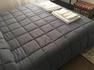 ein Bett mit zwei Kissen darüber in der Unterkunft Pezzino Green Home in Agrigento