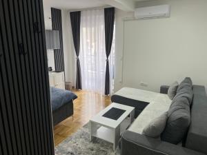una sala de estar con un sofá y una cama en Apartman David, en Vrnjci
