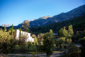 Φυσικό τοπίο κοντά σε αυτή η παραθεριστική κατοικία +19 φωτογραφίες