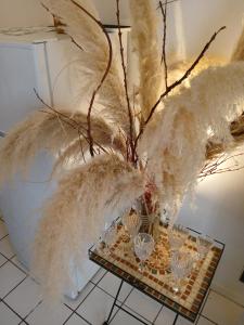 Fotografie z fotogalerie ubytování Comme A La Maison Chez Dominnique Coquet T2 Avec Jardin Homme Chaleureux v destinaci Toulouse