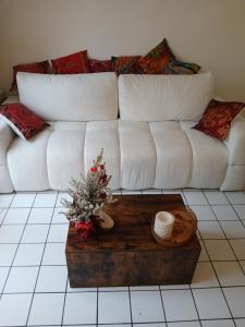 Posezení v ubytování Comme A La Maison Chez Dominnique Coquet T2 Avec Jardin Homme Chaleureux