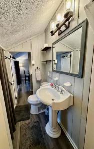 ein Badezimmer mit Waschbecken, Toilette und Spiegel in der Unterkunft Cozy Cottage, Private Lake Access, Fires and Fun! in Lake Harmony + 25 Fotos