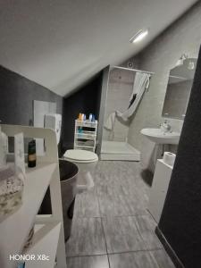 Ένα μπάνιο στο Sobe Mira Lipovac Bajakovo