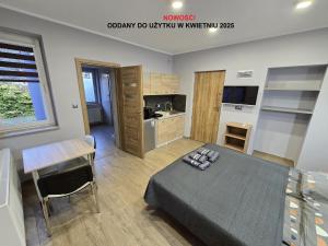 Televízia a/alebo spoločenská miestnosť v ubytovaní Apartamenty Pokoje DreamZone