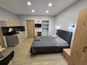 Kuchyňa alebo kuchynka v ubytovaní Apartamenty Pokoje DreamZone