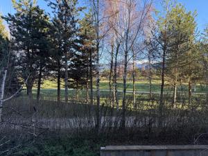 Billede fra billedgalleriet på SPA, Ski and Golf all seasons huge apartament near Bansko i Razlog