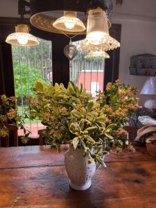 eine Vase auf einem Holztisch mit einer Pflanze in der Unterkunft Fuente del Sol 2 in Punta del Este + 15 Fotos