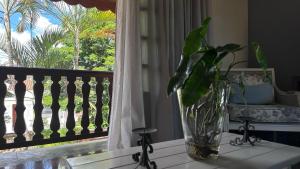 a vase sitting on a table in front of a window at Recanto Amana,Casa Completa no Coração de SJBVista in São João da Boa Vista