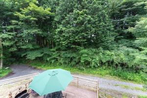 a person with a blue umbrella on a wooden deck at Green Oasis Cottage A in Hakone