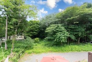 a pink umbrella sitting on the side of a road at Green Oasis Cottage B in Hakone