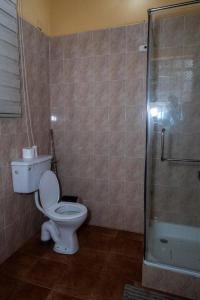 a bathroom with a toilet and a shower at Mi Casa, Your Cozy Stay in Koforidua