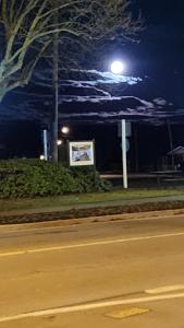 Gallery image of Fairlie Hotel in Fairlie