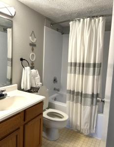 a bathroom with a toilet and a shower curtain at Vista Ridge Retreat in Gatlinburg