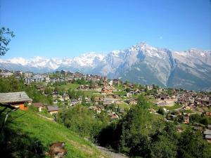 Gallery image of Flat in Nendaz near Ski Lift & Slopes in Nendaz