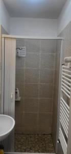 a bathroom with a shower with a sink and a toilet at Apartament Victoriei - Centru in Bucharest