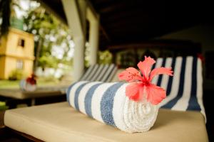 Fotografie z fotogalerie ubytování Thaulle Ayurveda Resort - Yala v destinaci Tissamaharama